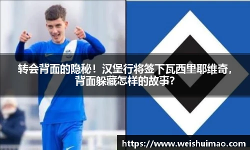 转会背面的隐秘！汉堡行将签下瓦西里耶维奇，背面躲藏怎样的故事？